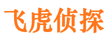 嘉峪关市场调查